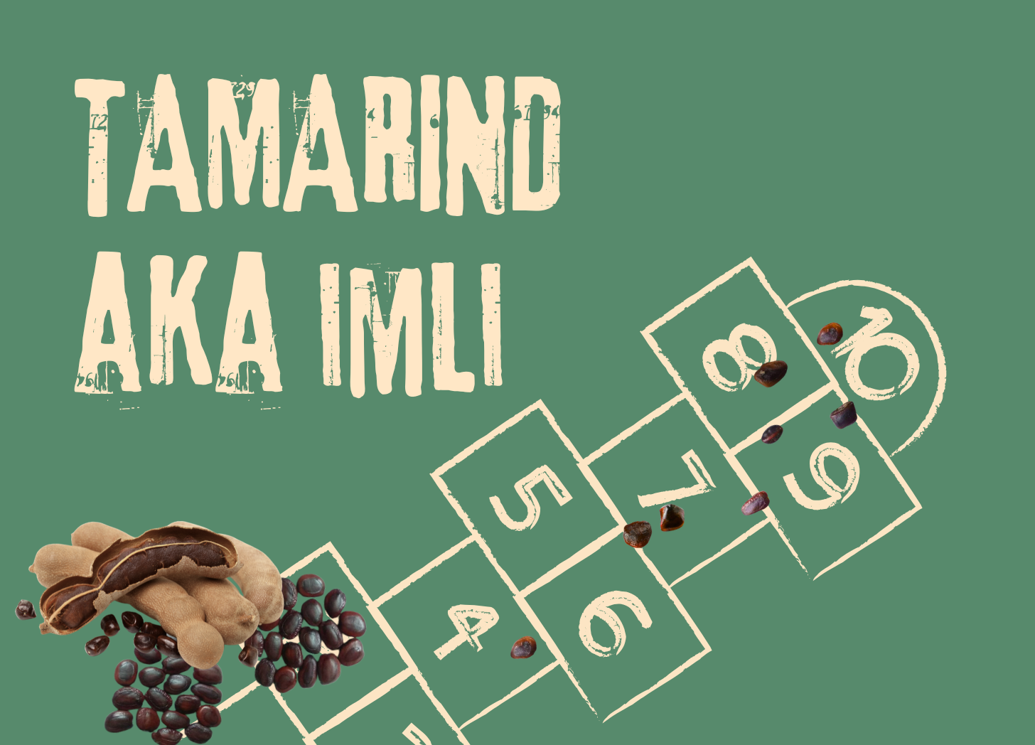 Tamarind: A Tangy Tale Across Space & Time