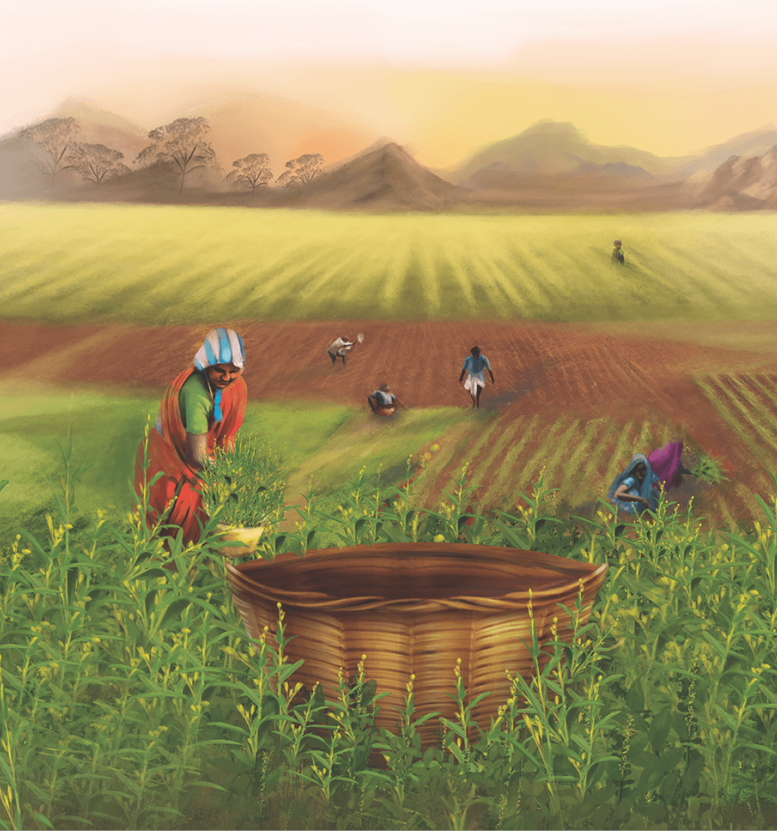 Safe Harvest