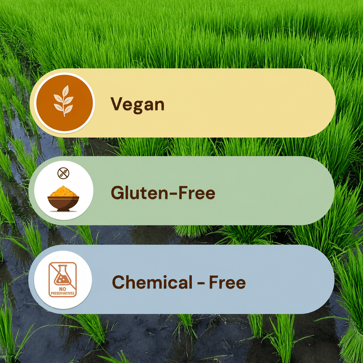 Puffed Rice/Murmura - Pesticide-Free & Lab-Tested | Safe Harvest Pesticide-Free