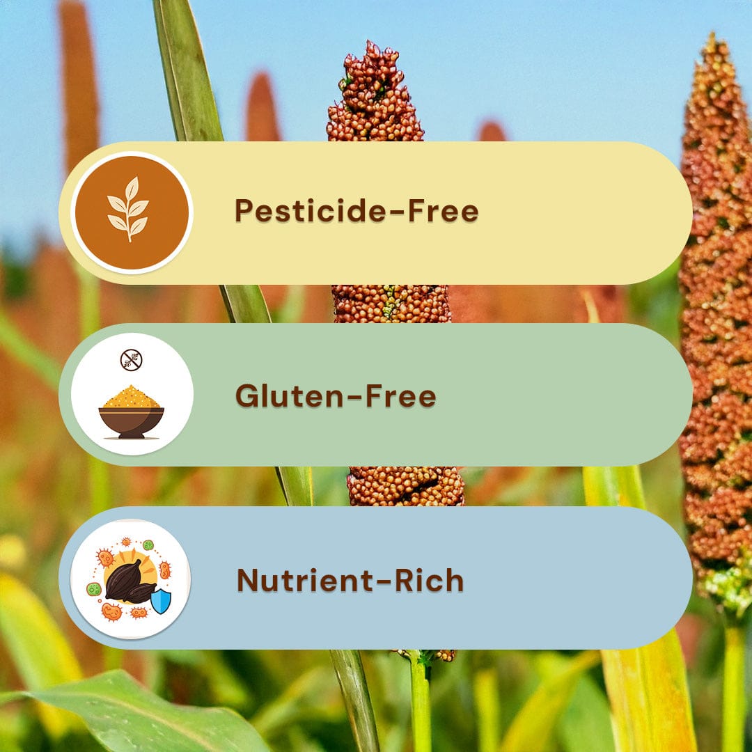 Safe Harvest barnyard millet benefits - pesticide-free, gluten-free, nutrient-rich ancient grain