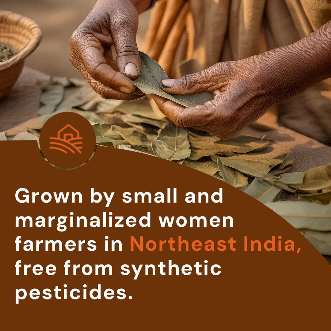 Safe Harvest Bay Leaf grown by small marginalized women farmers in Northeast India, free from synthetic pesticides.