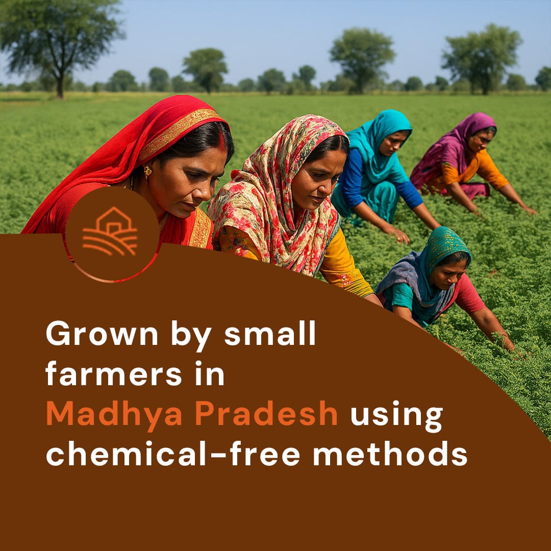 Safe Harvest Bengal Gram grown by small farmers in Madhya Pradesh using chemical-free methods.