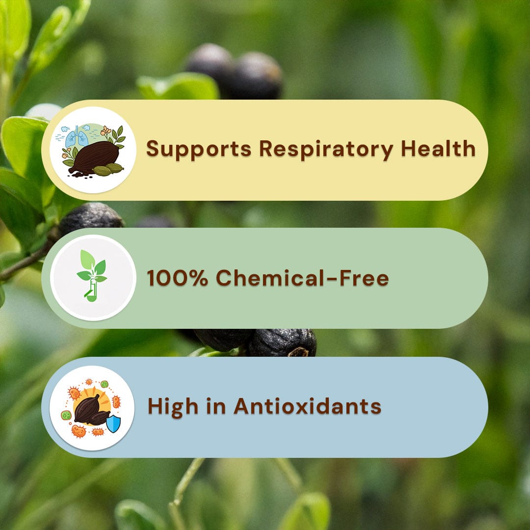 Safe Harvest Black Cardamom benefits, supports respiratory health, 100% chemical-free, high in antioxidants.
