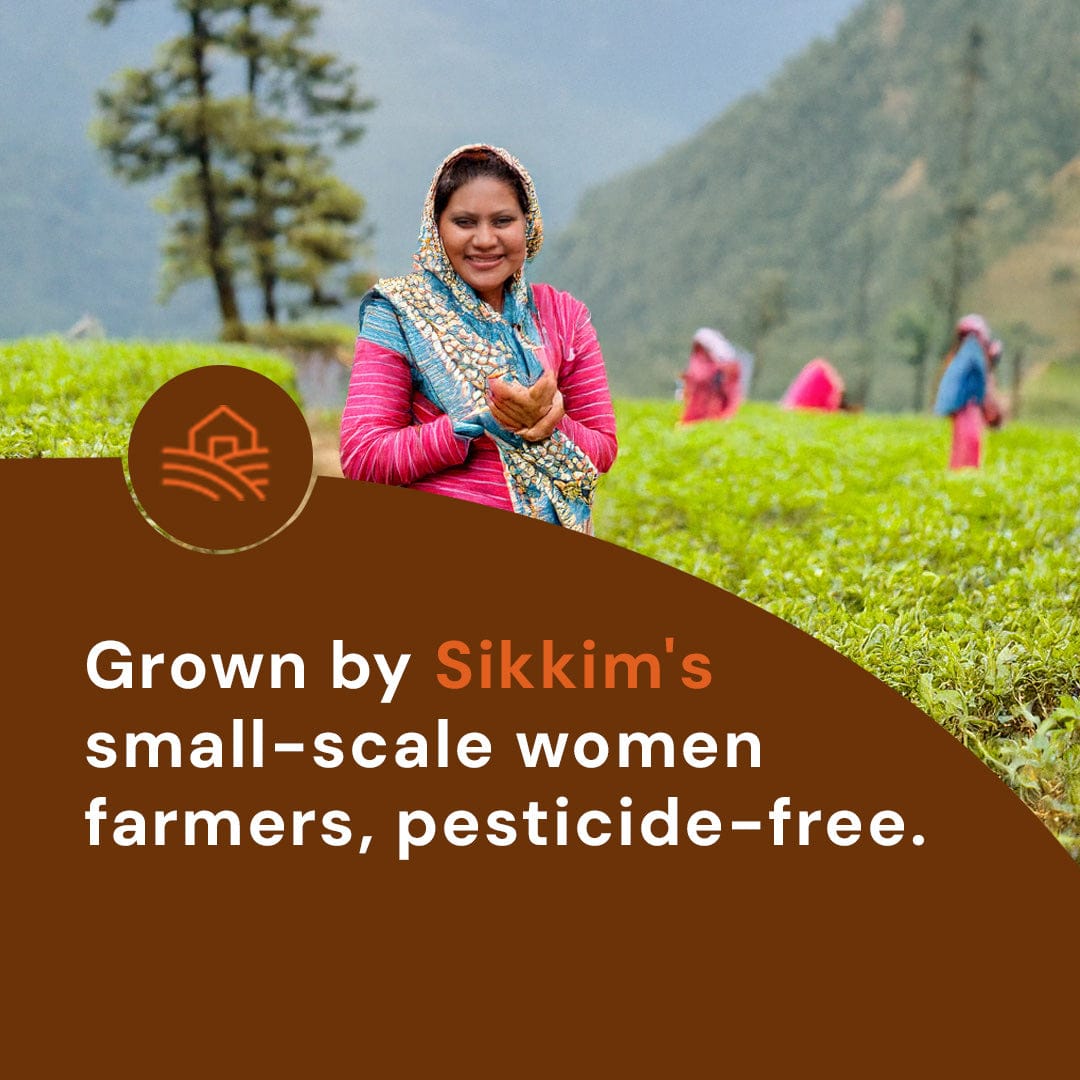 Safe Harvest Black Cardamom grown by Sikkim small-scale women farmers, pesticide-free.
