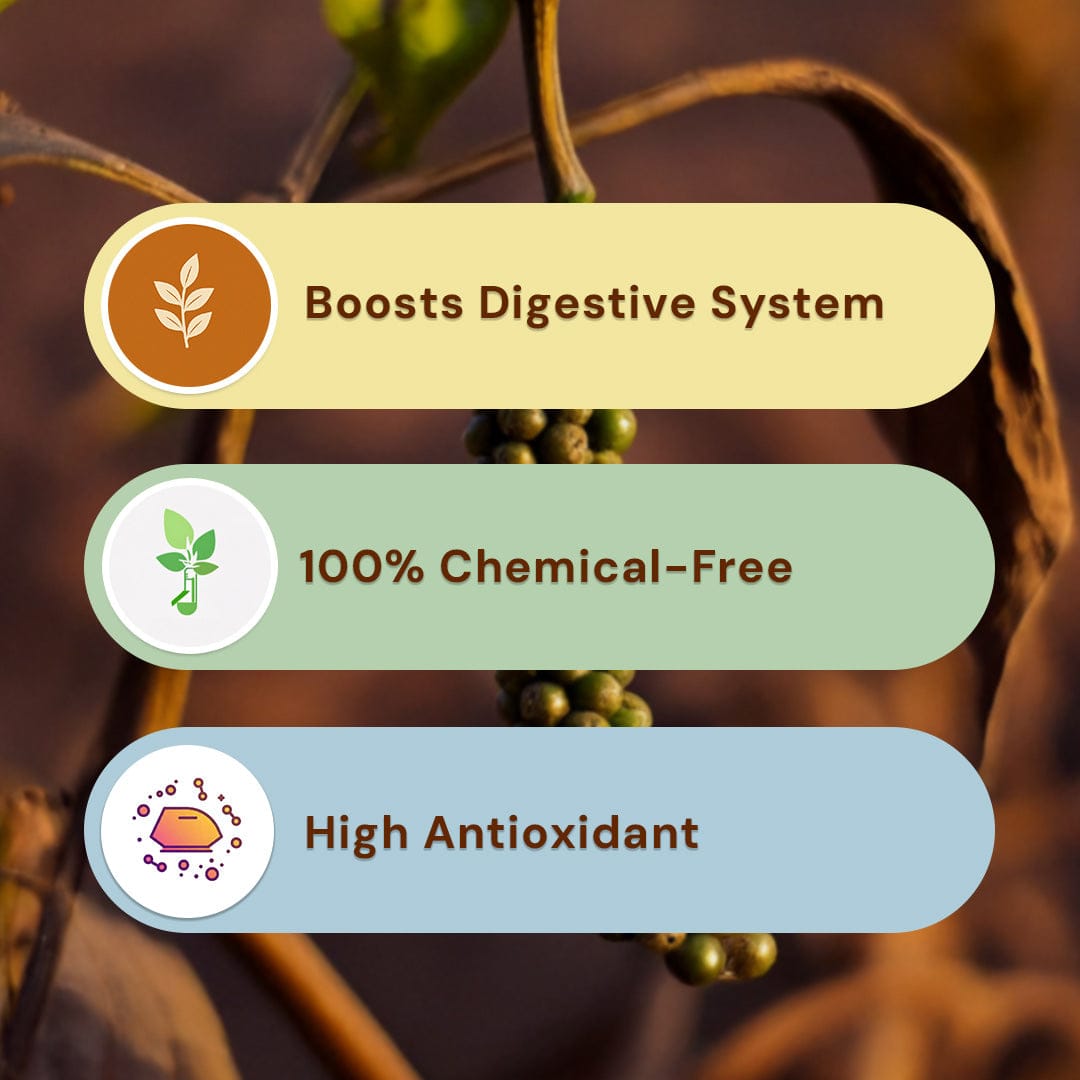 Safe Harvest whole black pepper benefits - boosts digestive system, 100% chemical-free, high antioxidant.