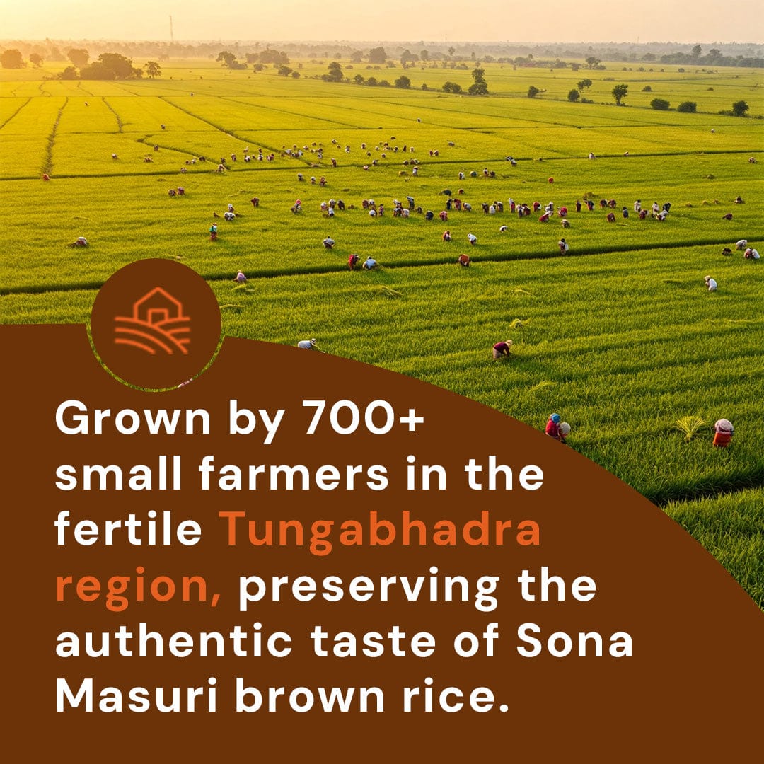 Safe Harvest brown rice grown by 700 Karnataka farmers on Thungabhadra river banks without synthetic pesticides.