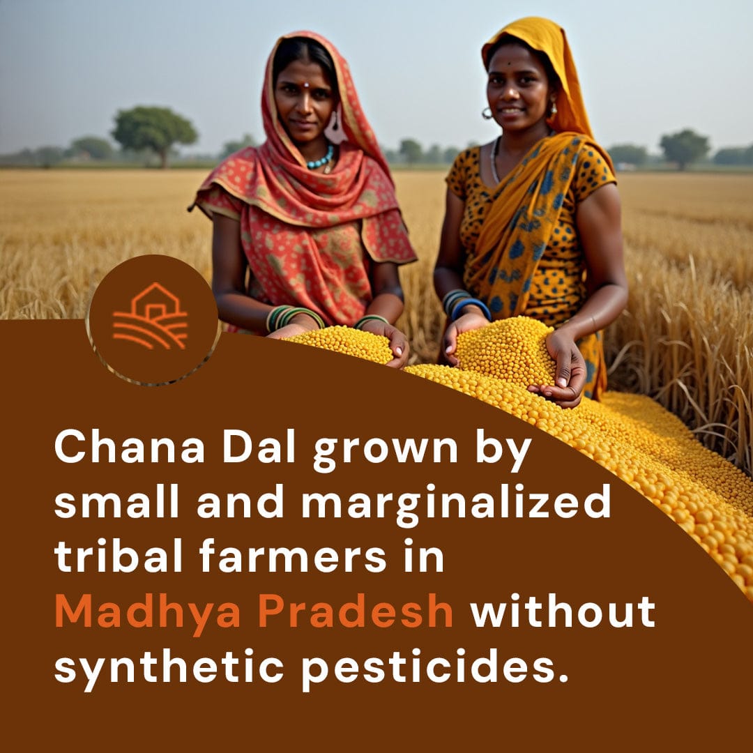 Safe Harvest Chana Dal sourced from women farmers using traditional chemical-free farming without synthetic pesticides.