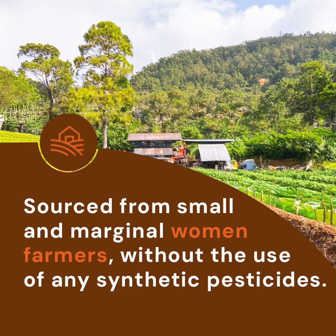 Safe Harvest Cinnamon Sticks sourced from small and marginal women farmers without the use of synthetic pesticides