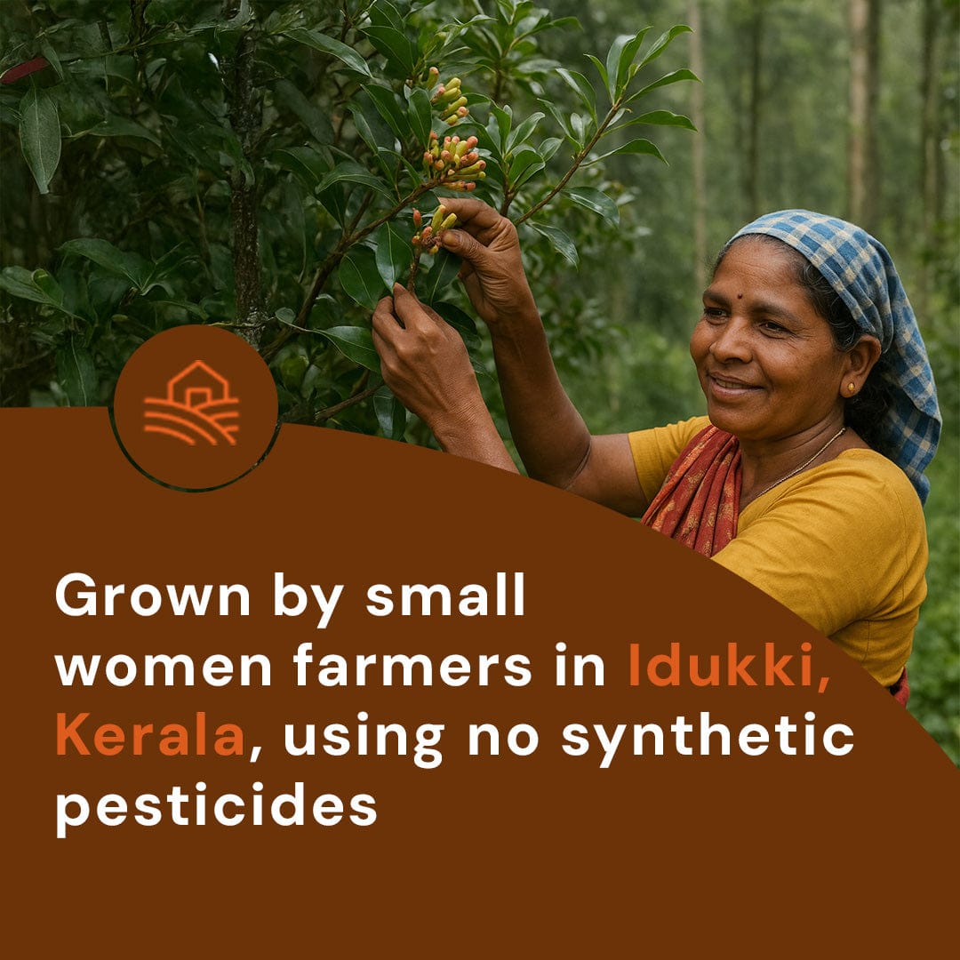Safe Harvest whole cloves grown by small women farmers in Idukki Kerala using no synthetic pesticides.