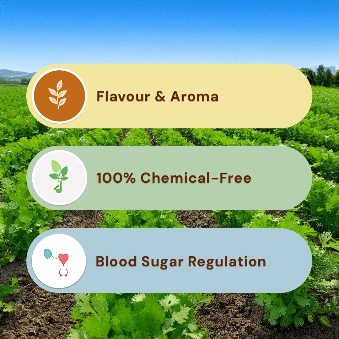 Safe Harvest pesticide-free coriander seeds enhances flavour and aroma 100% chemical-free supports blood sugar regulation.