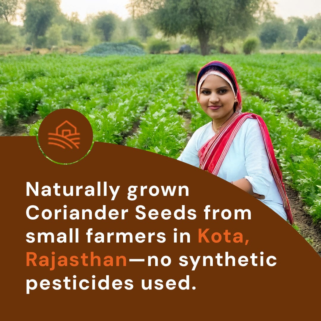 Safe Harvest whole coriander seeds naturally grown by small women farmers in Kota Rajasthan without synthetic pesticides.