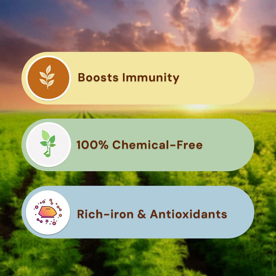 Safe Harvest whole cumin seeds jeera benefits - boosts immunity, 100% chemical-free, rich in iron and antioxidants.