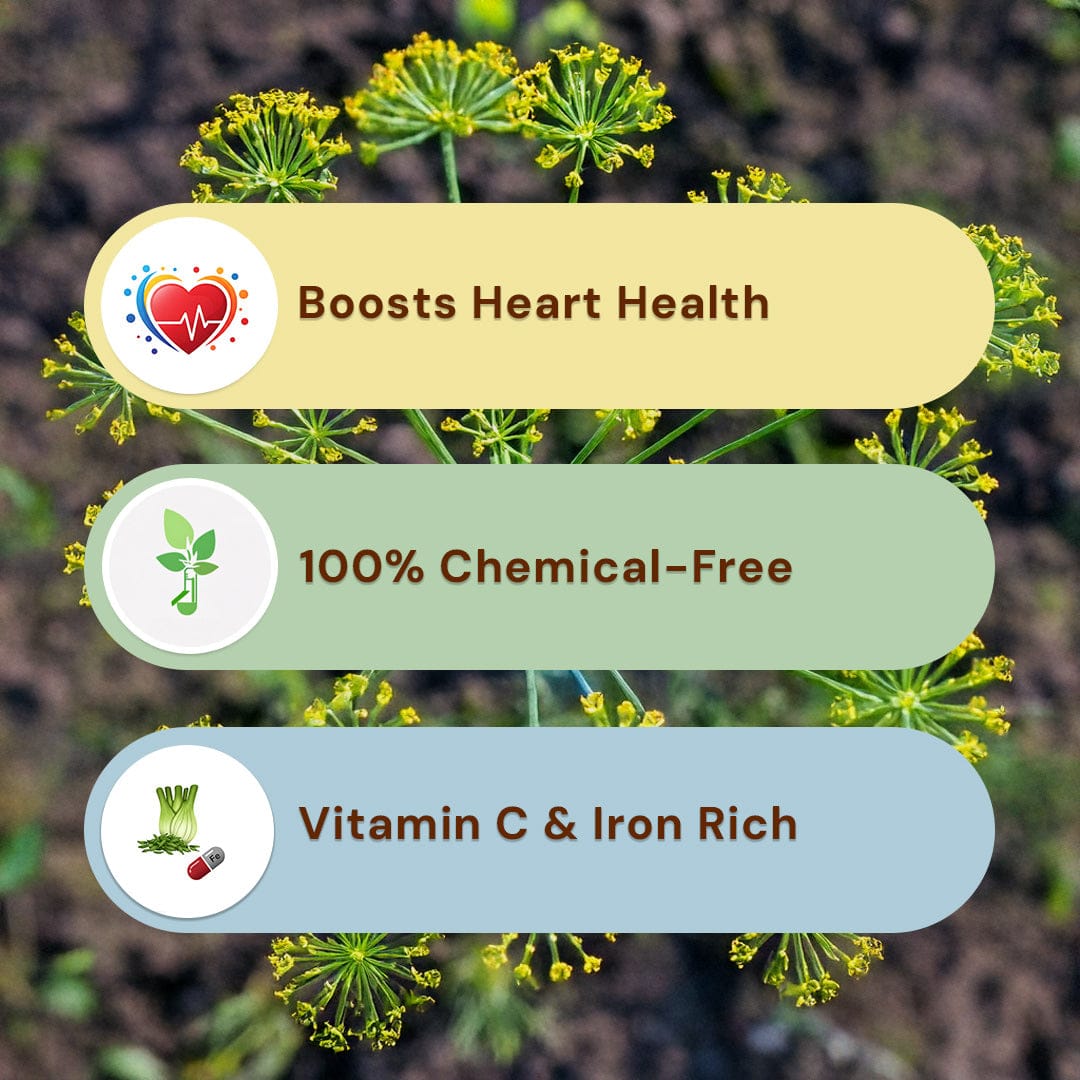 Safe Harvest pesticide-free fennel seeds boosts heart health 100% chemical-free rich in vitamin C and iron.