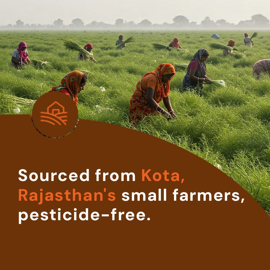 Safe Harvest fennel seeds sourced from small women farmers in Kota Rajasthan grown without synthetic pesticides.
