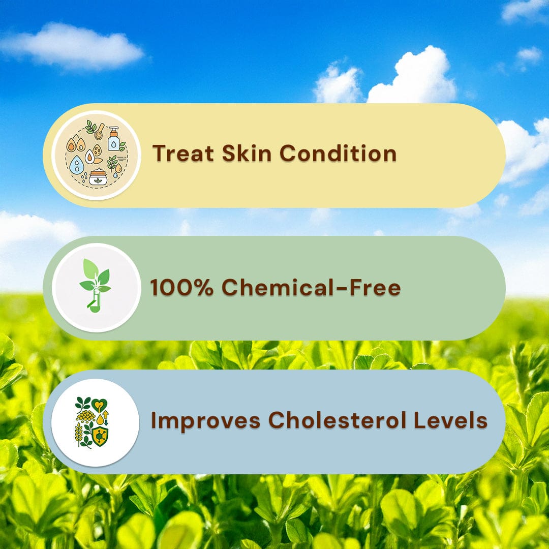 Safe Harvest pesticide-free fenugreek seeds treats skin condition 100% chemical-free improves cholesterol levels.