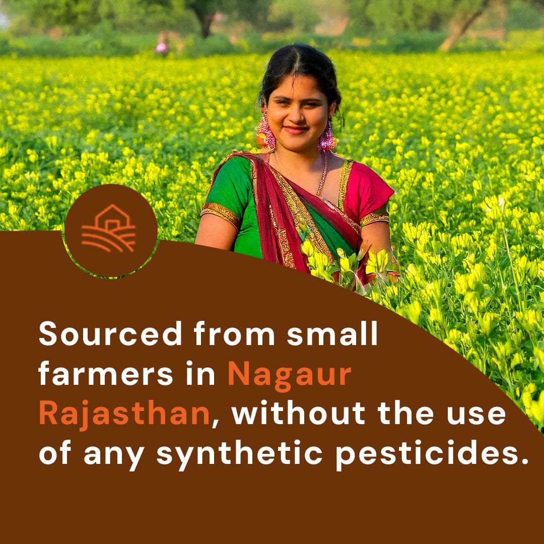 Safe Harvest fenugreek seeds sourced from small women farmers in Nagaur Rajasthan grown without synthetic pesticides.