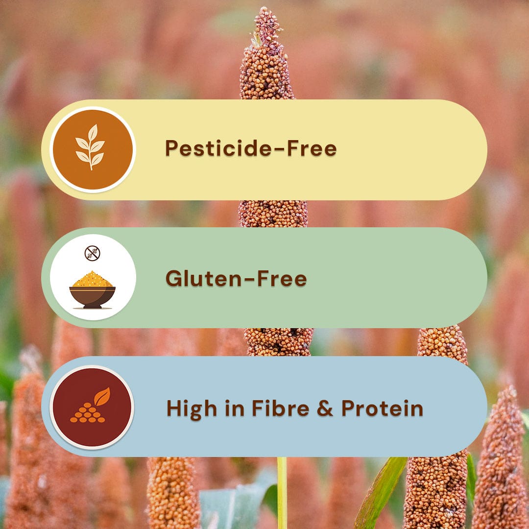 Safe Harvest Foxtail Millet Rice benefits, pesticide-free, gluten-free, high in fibre and protein.