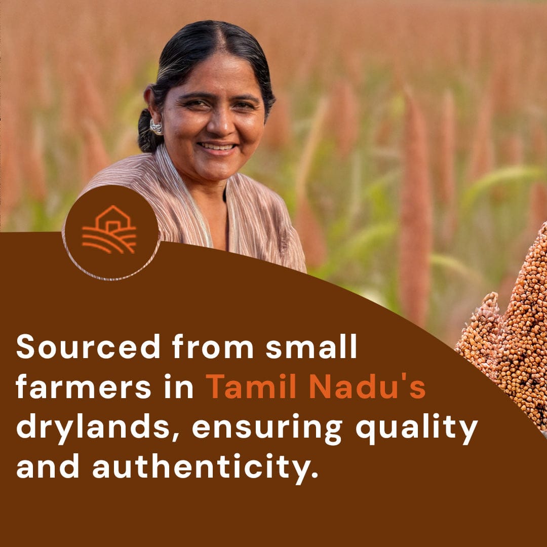 Safe Harvest Foxtail Millet sourced from small farmers in Tamil Nadu drylands ensuring quality and authenticity.