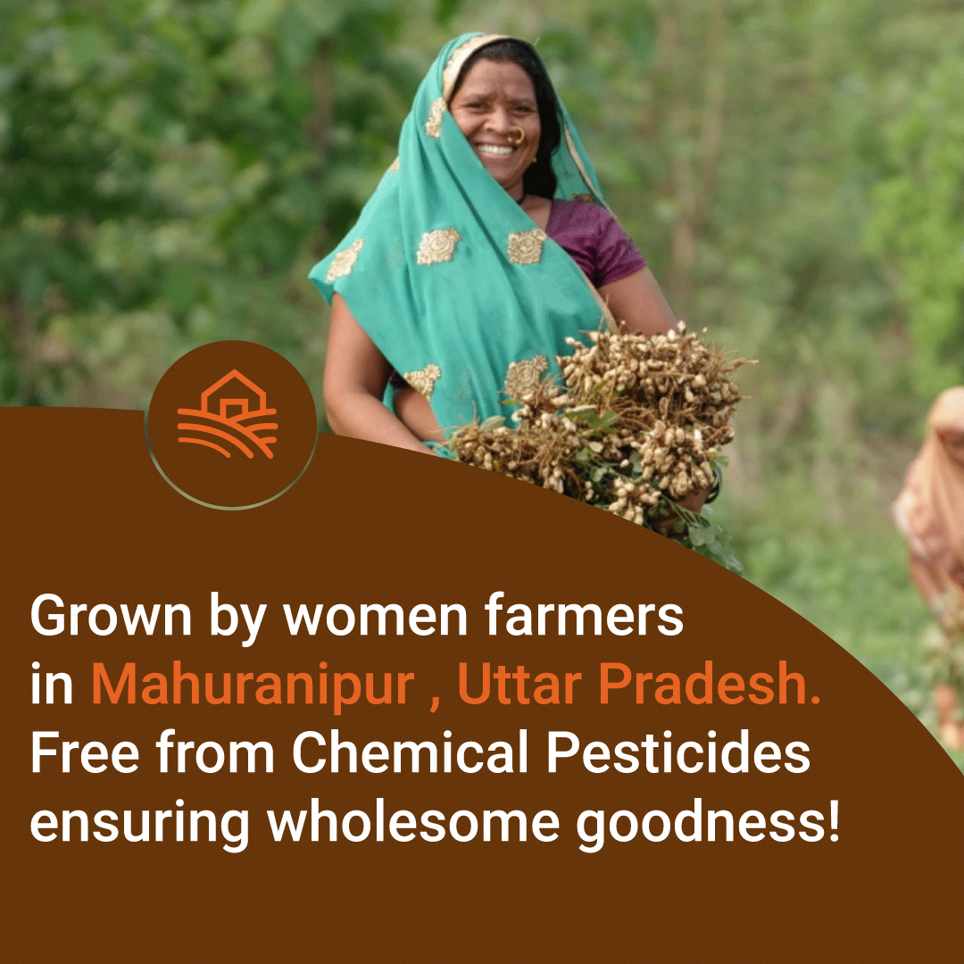 Safe Harvest groundnut oil grown by women farmers using pesticide-free farming: chemical-free wholesome goodness.