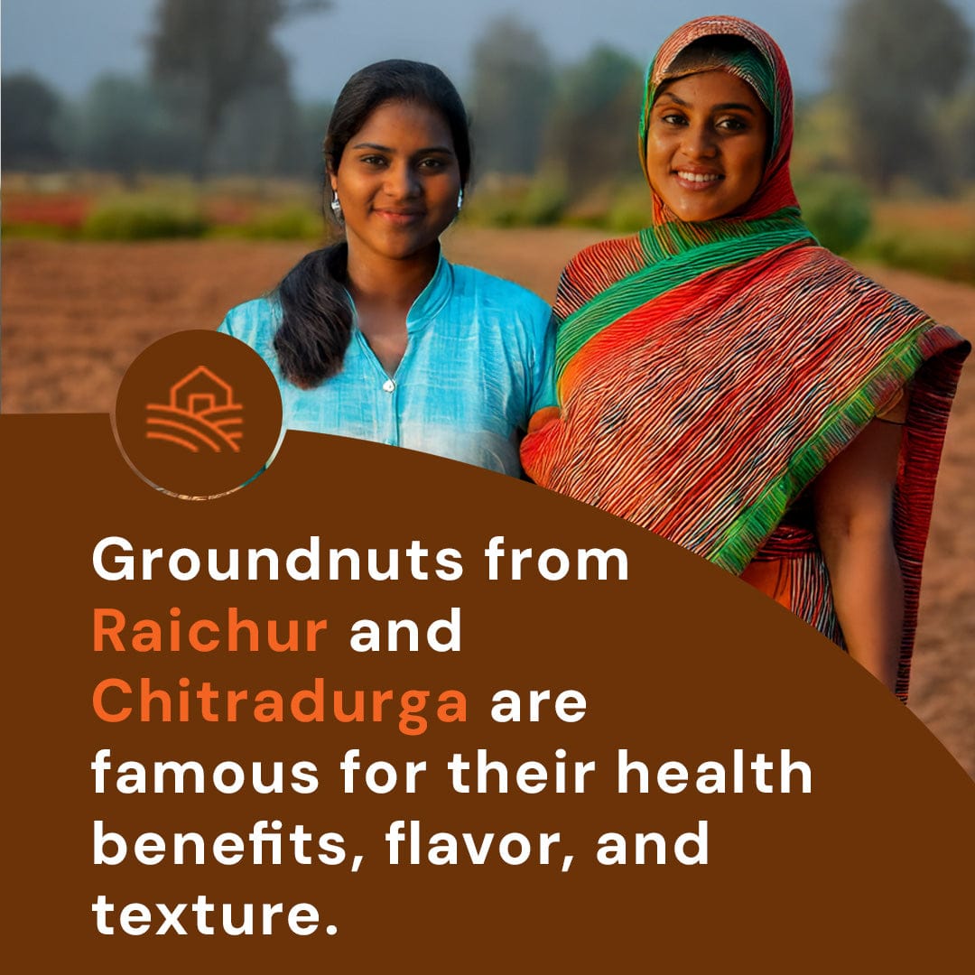 Safe Harvest groundnuts sourced from women farmers in Kadiri — pesticide-free farming, health benefits and superior flavour