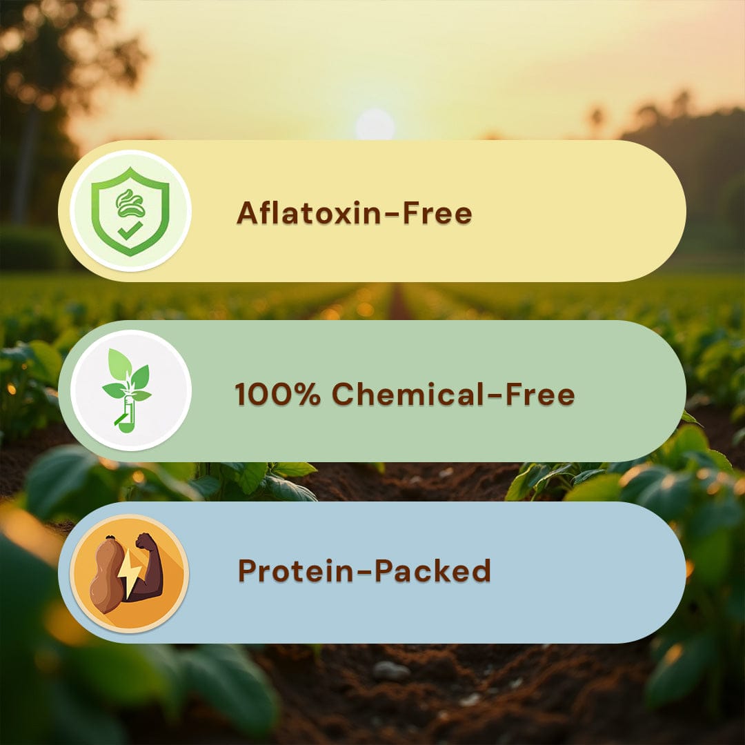 Safe Harvest groundnuts benefits — aflatoxin-free, 100% chemical-free, protein-packed raw peanuts