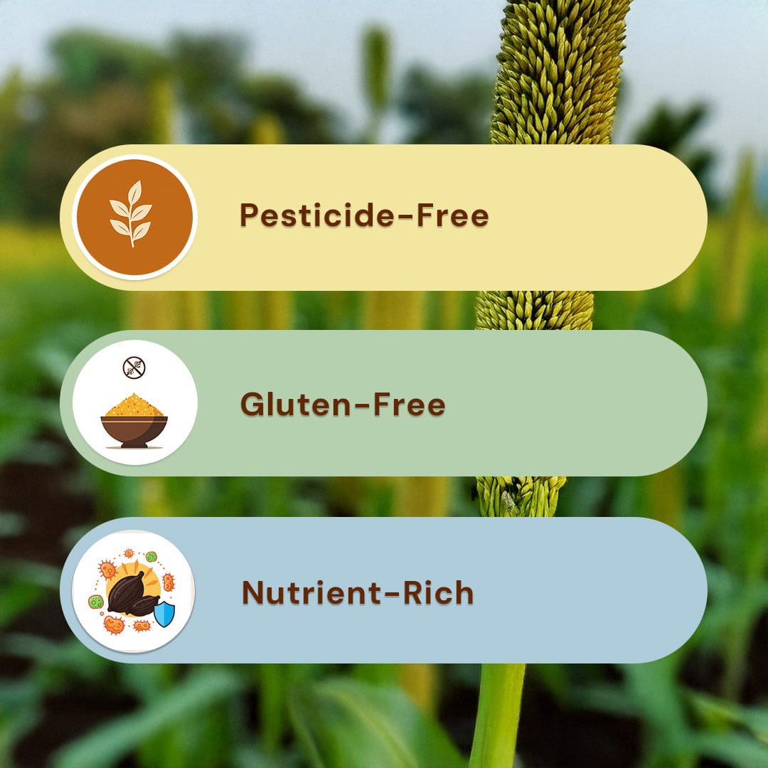 Safe Harvest Jowar Atta benefits, pesticide-free, gluten-free, nutrient-rich sorghum flour