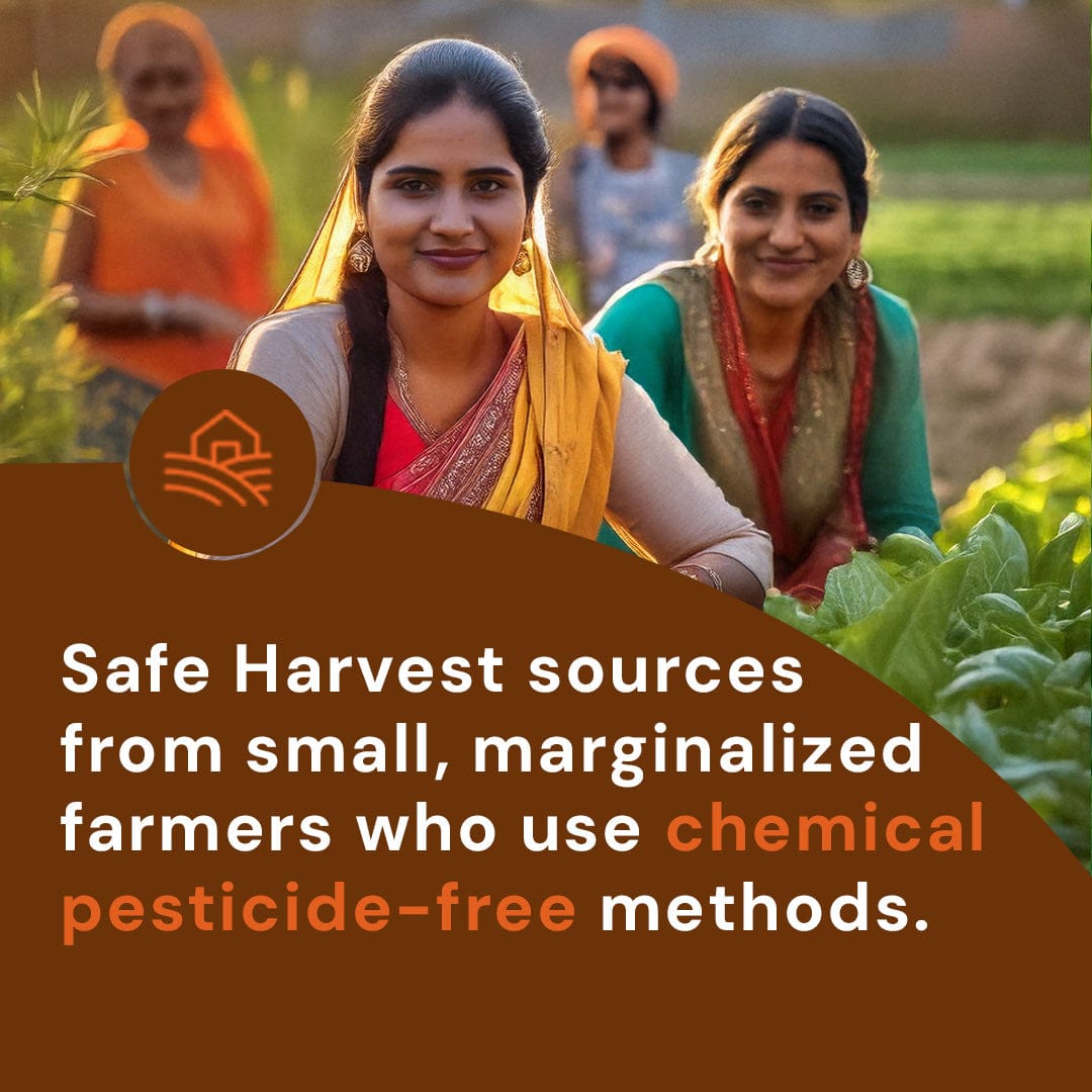 Safe Harvest kabuli chana sourced from small marginalised women farmers using chemical pesticide-free methods.