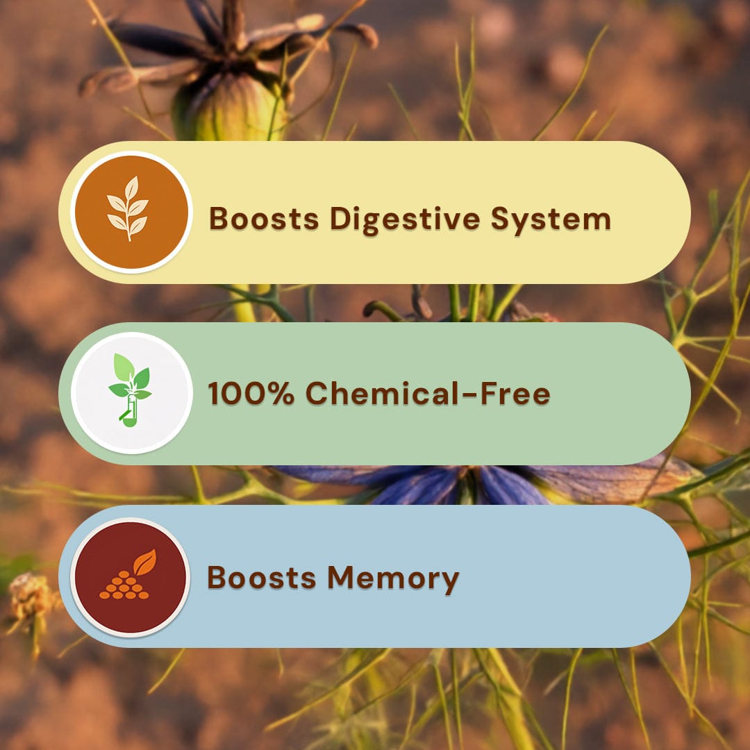 Safe Harvest pesticide-free kalonji seeds boosts digestive system 100% chemical-free boosts memory.