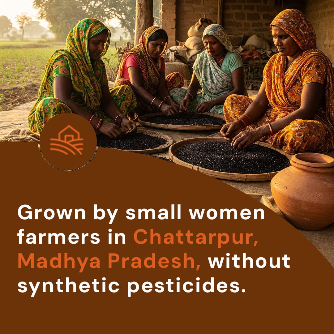 Safe Harvest kalonji seeds grown by small women farmers in Chattarpur Madhya Pradesh without synthetic pesticides.