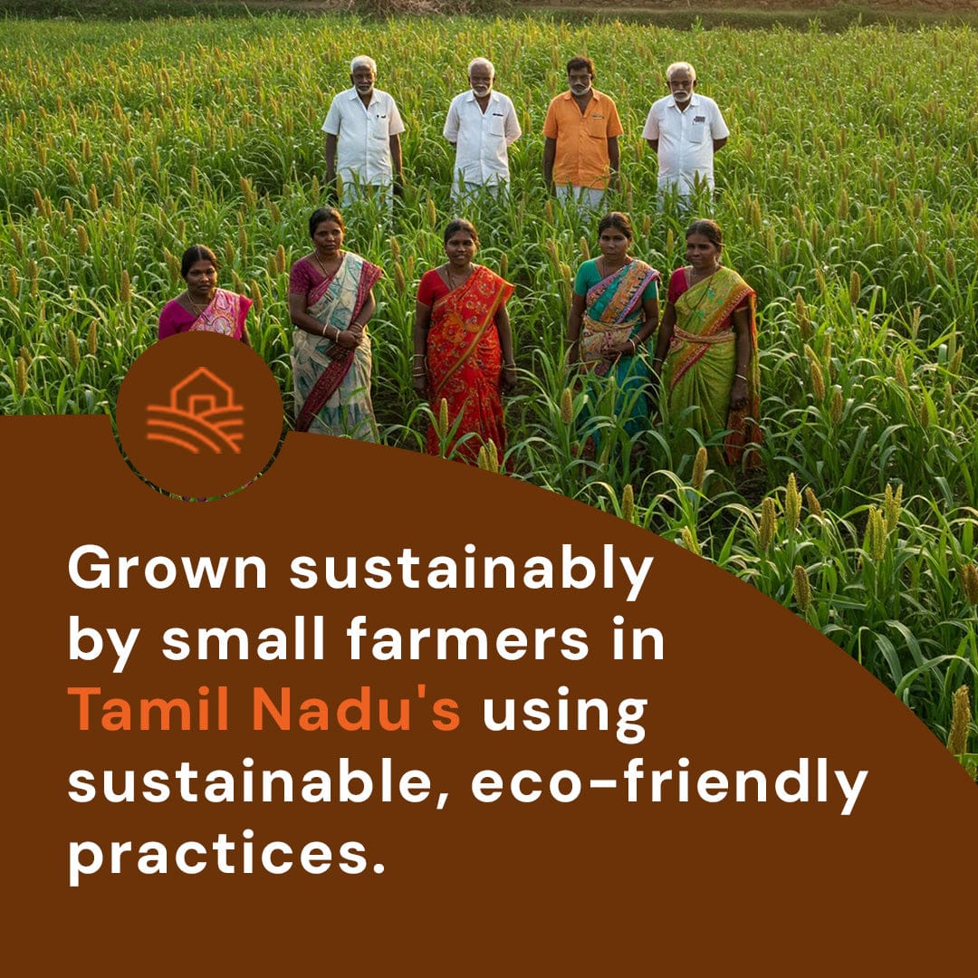 Safe Harvest Kodo Millet grown sustainably by small farmers in Tamil Nadu using eco-friendly practices