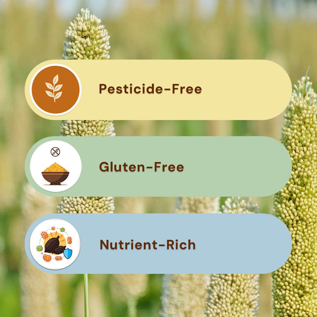 Safe Harvest Little Millet Rice benefits, pesticide-free, gluten-free, nutrient-rich ancient grain.