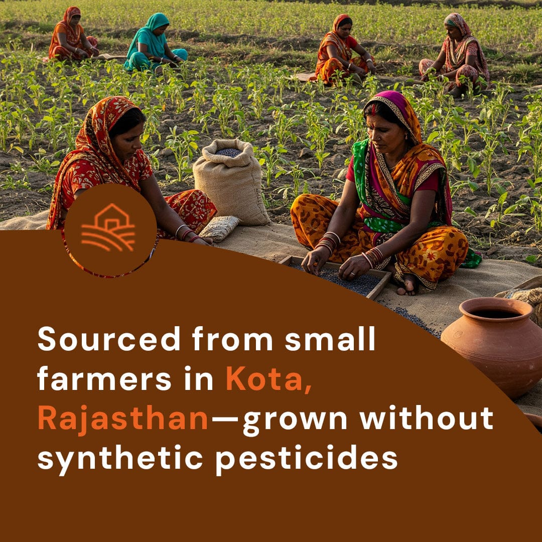Safe Harvest mustard sourced from women farmers in Kota Rajasthan — grown without synthetic pesticides