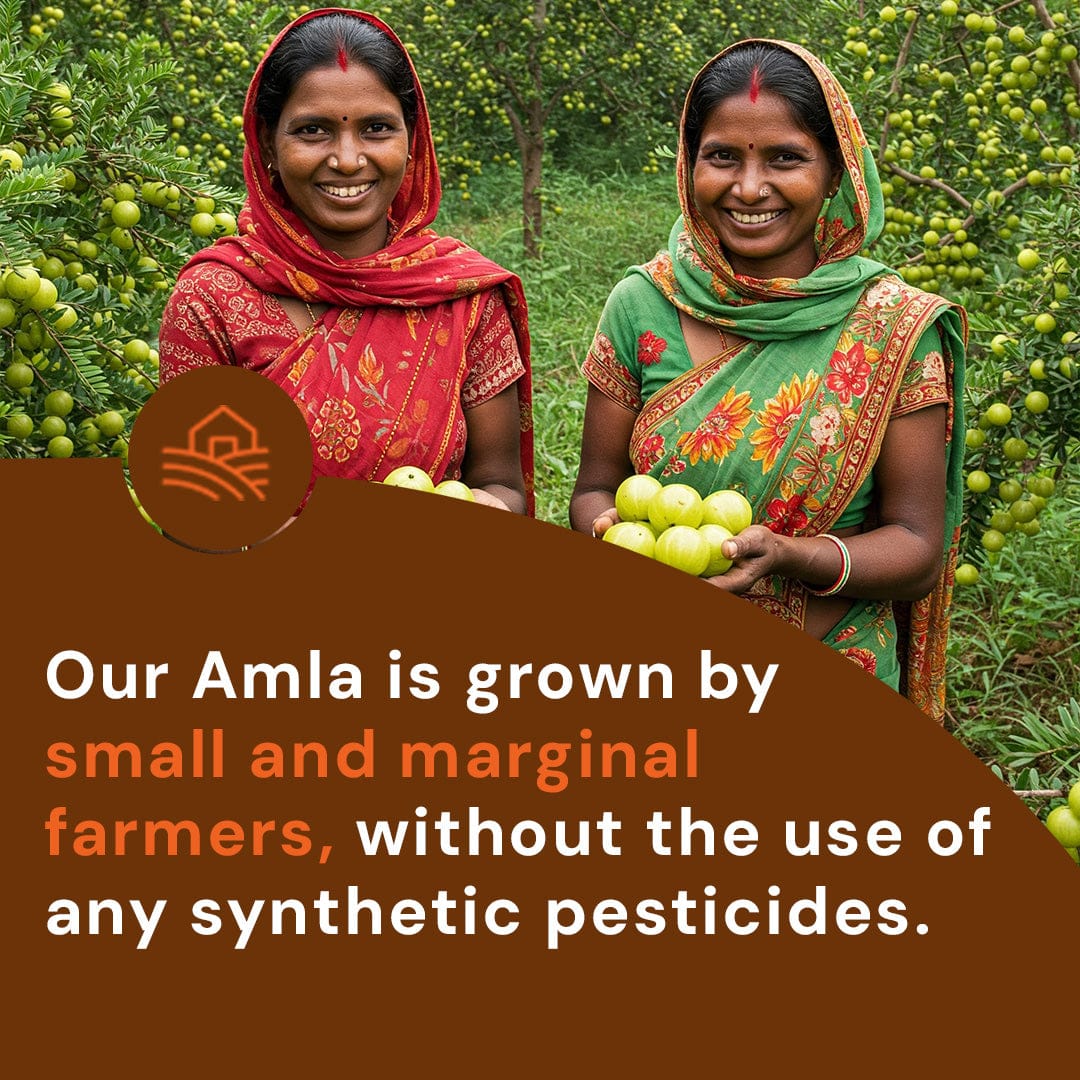 Amla Candy Masala Pesticide-Free 250g
