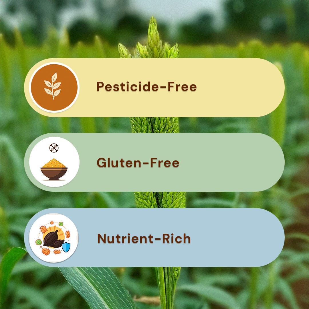 Jowar Daliya Pesticide-Free 500g