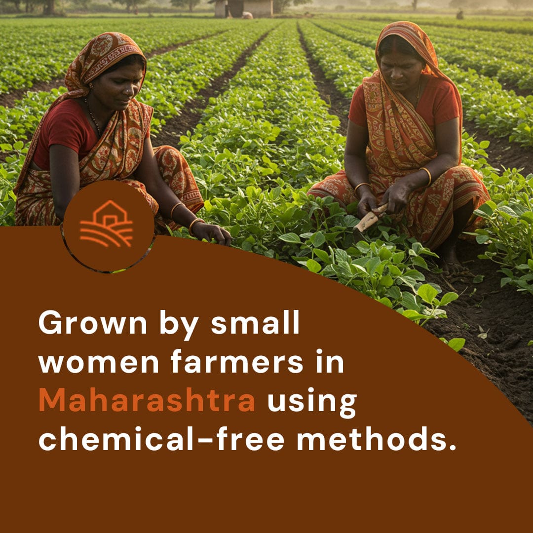 Rajma Chitra Pesticide-Free 500g