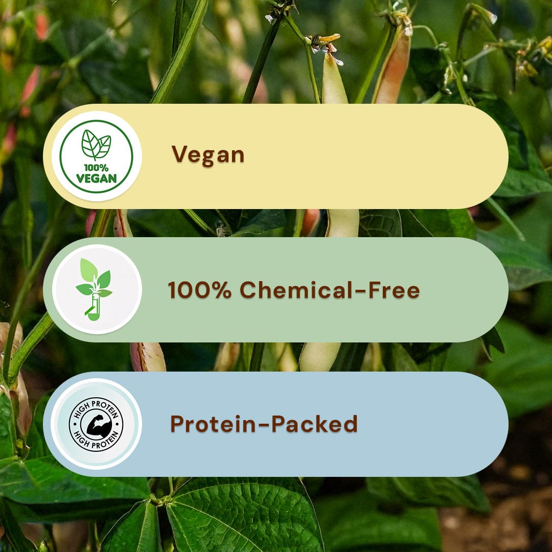Rajma Chitra Pesticide-Free 500g