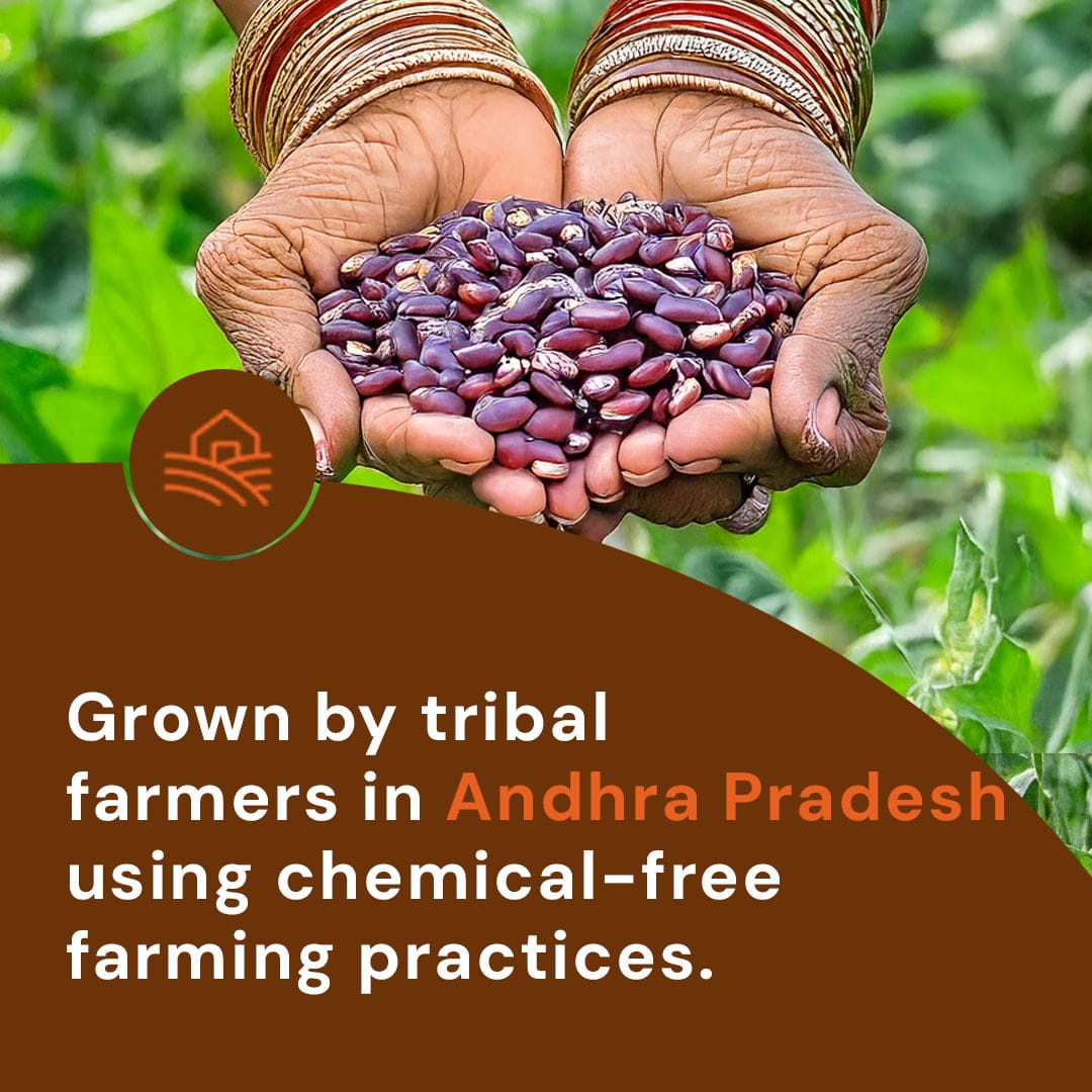 Rajma Kashmiri Pesticide-Free 500g