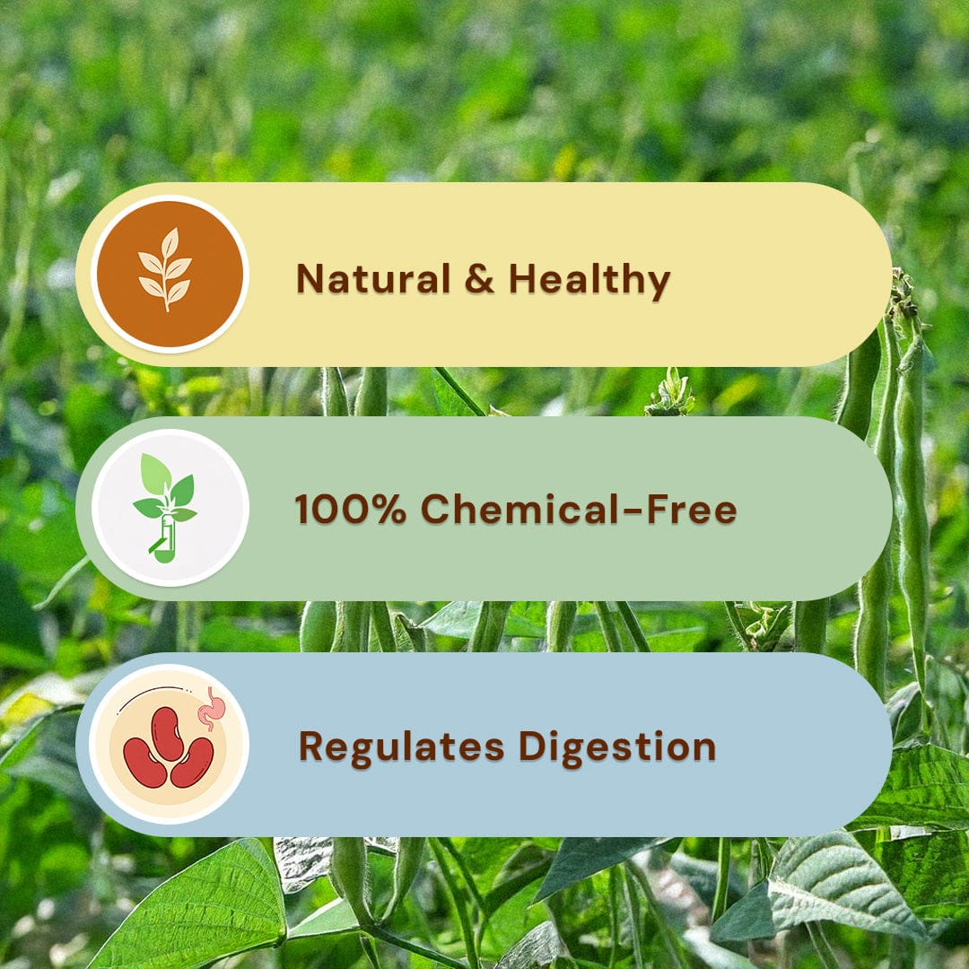 Rajma Kashmiri Pesticide-Free 500g