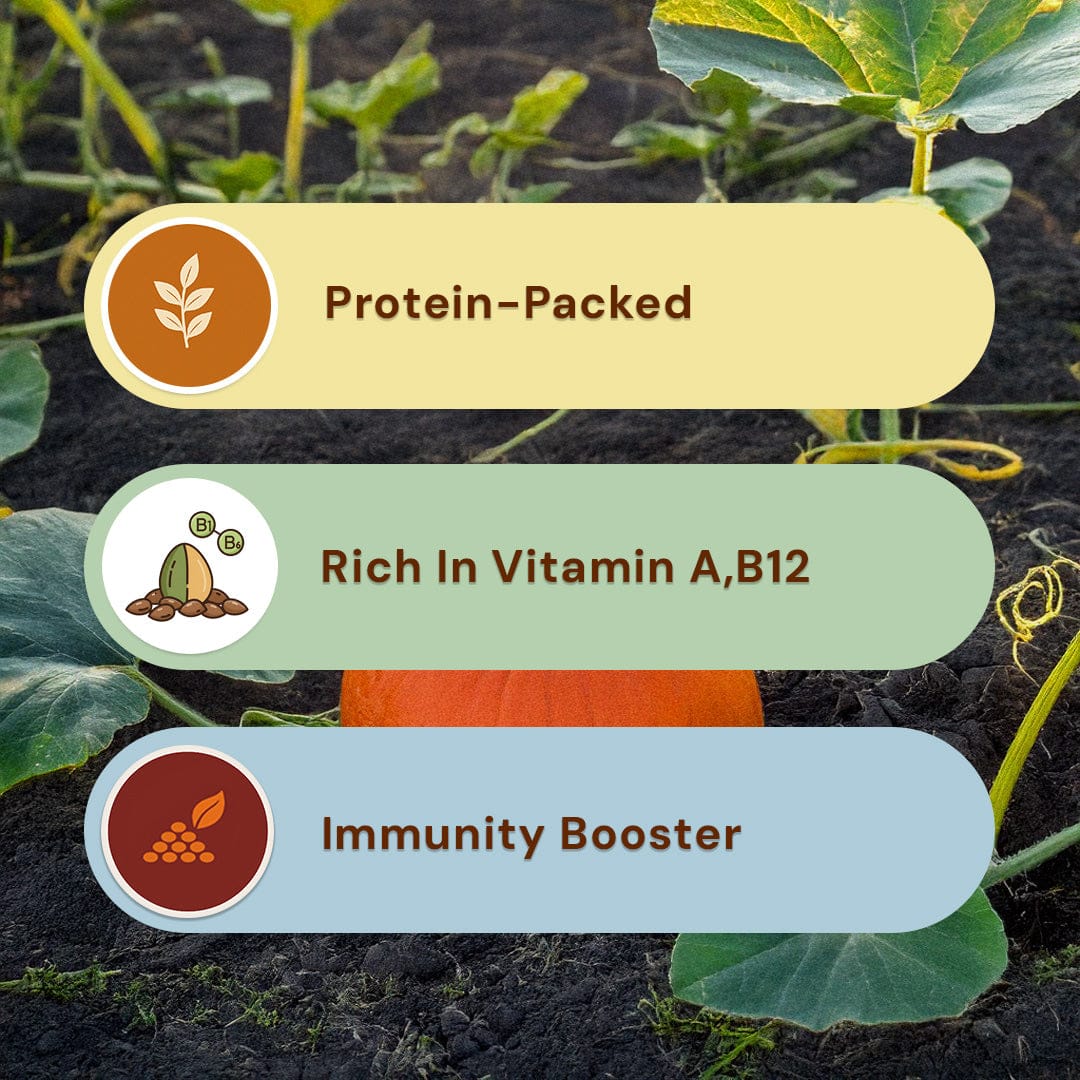 Roasted and Salted Pumpkin Seeds Pesticide-Free 200g
