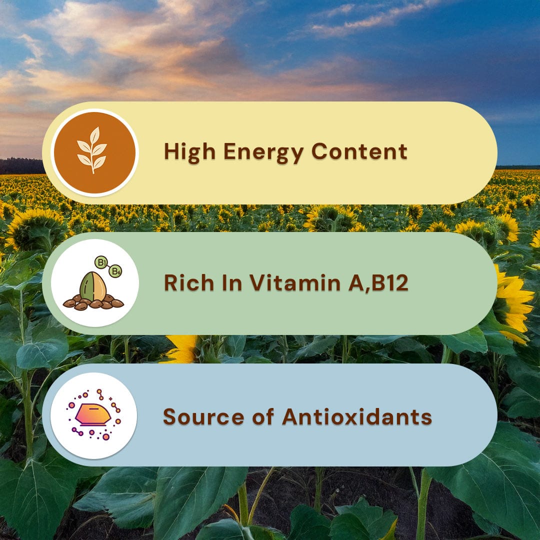 Sunflower Seeds Pesticide-Free 250g