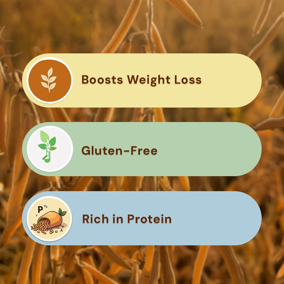 Urad Gota Pesticide-Free