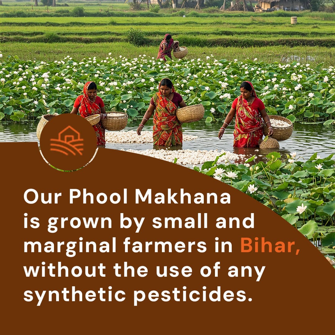 Premium Phool Makhana Pesticide-Free