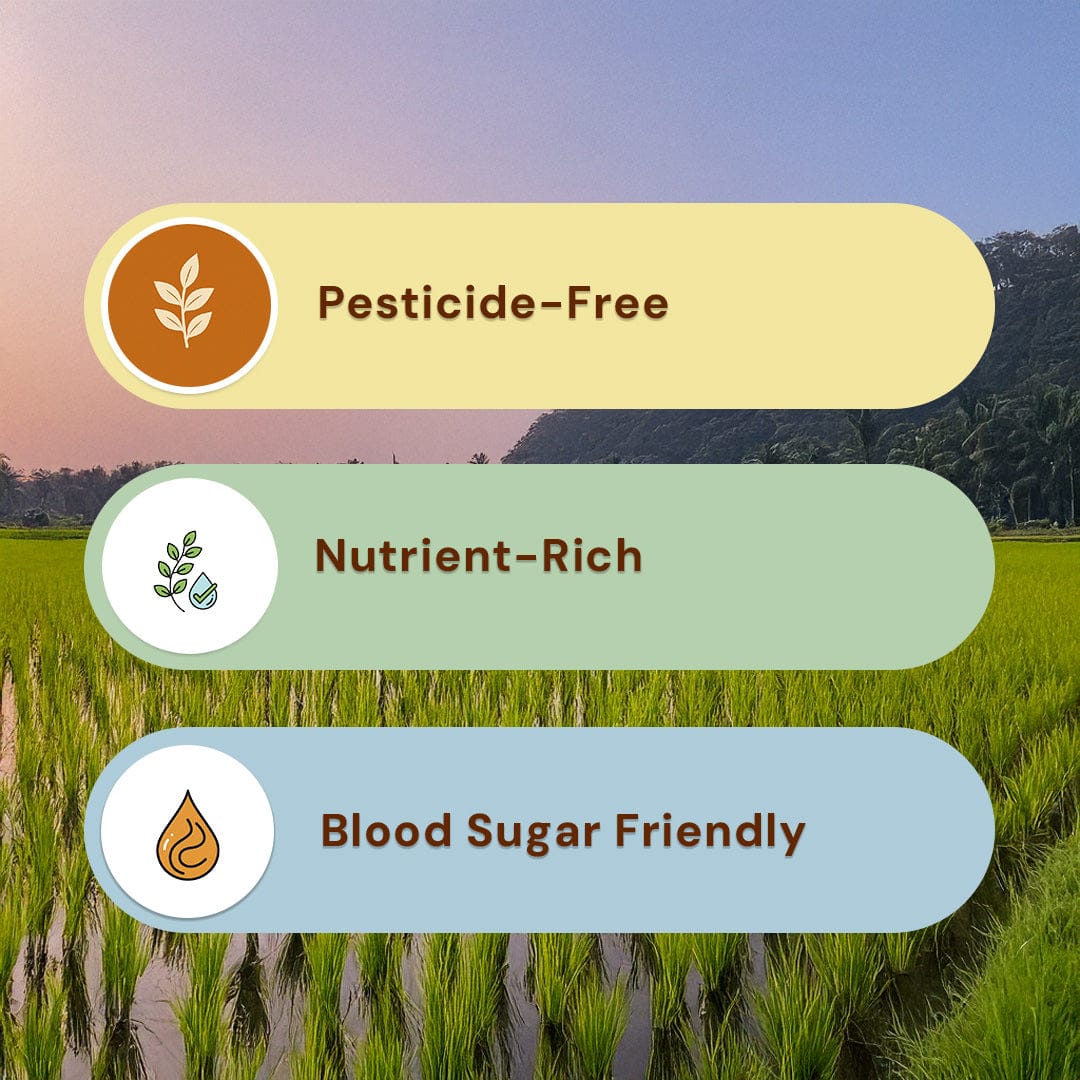 Safe Harvest Sona Masuri brown rice benefits - arsenic-free, unpolished whole grain, low glycaemic index.