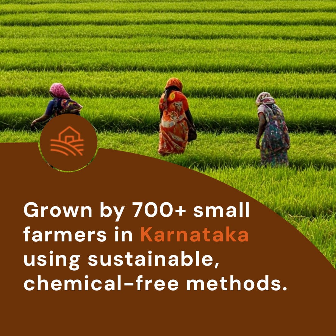 afe Harvest Sona Masuri rice grown by 700 small Karnataka farmers using sustainable chemical-free methods.