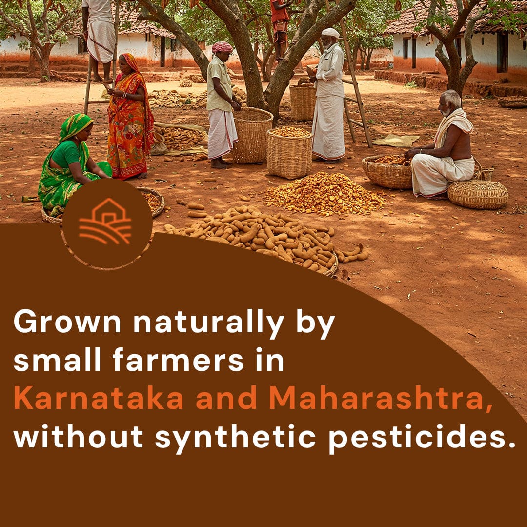 Safe Harvest tamarind grown naturally by women farmers without synthetic pesticides