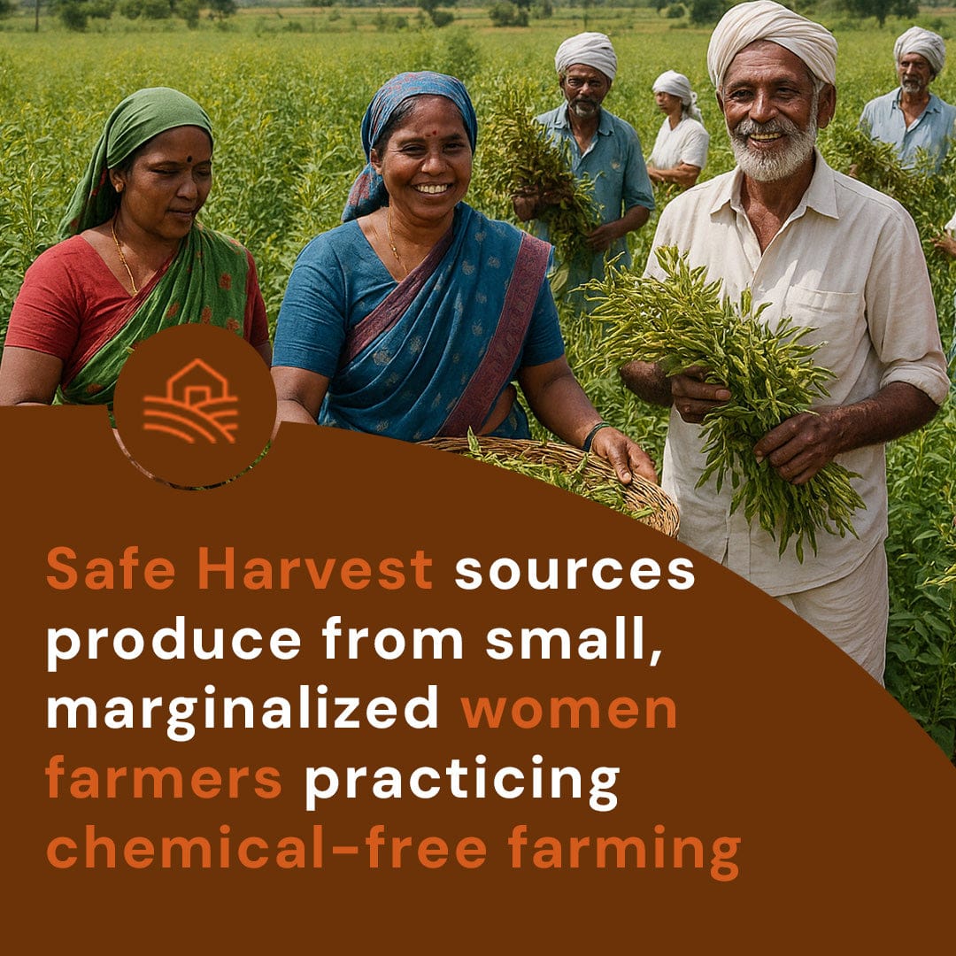 Safe Harvest sources Toor Dal from small marginalized women farmers practicing chemical-free farming