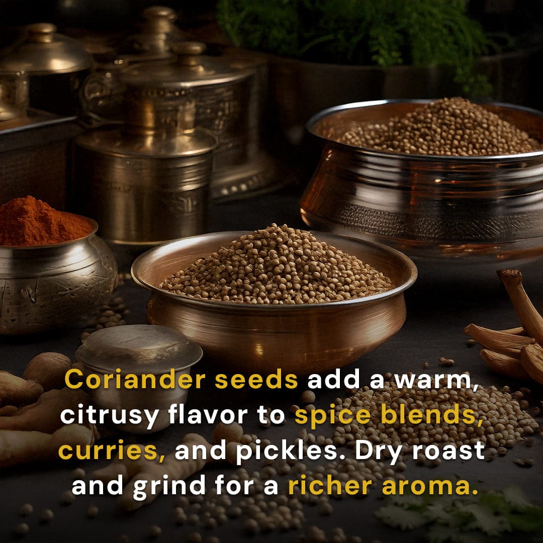 Safe Harvest pesticide-free coriander seeds ideal for spice blends curries and pickles — dry roast and grind for richer aroma.