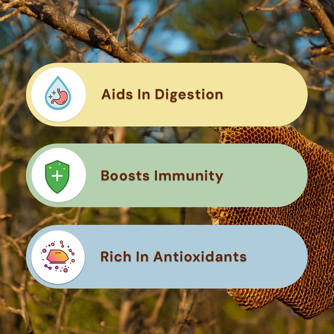 Safe Harvest wild forest honey benefits — aids digestion, boosts immunity, rich in antioxidants