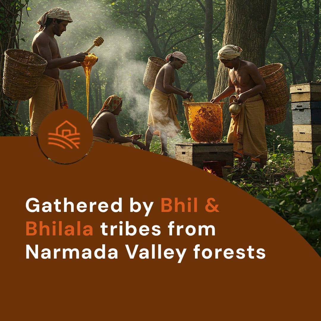 Safe Harvest wild forest honey gathered by Bhil and Bhilala tribes from Narmada Valley forests.