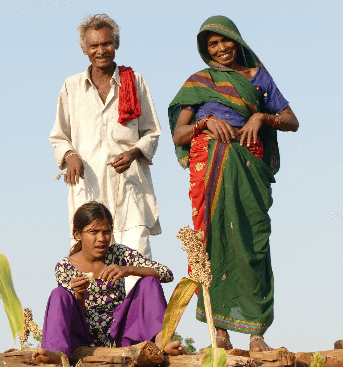 Safe Harvest